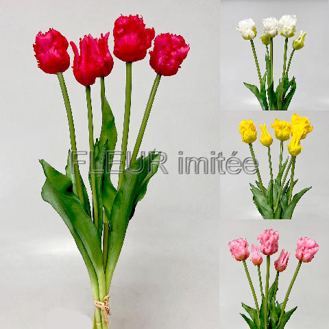 Tulipán x5 latex 47cm  12/72