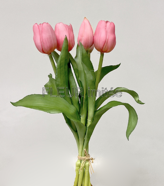 Tulipán x5 latex 30cm 12/96