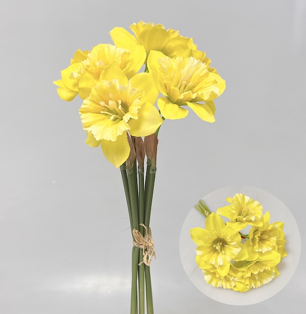 Narcis x6 30cm 24/240
