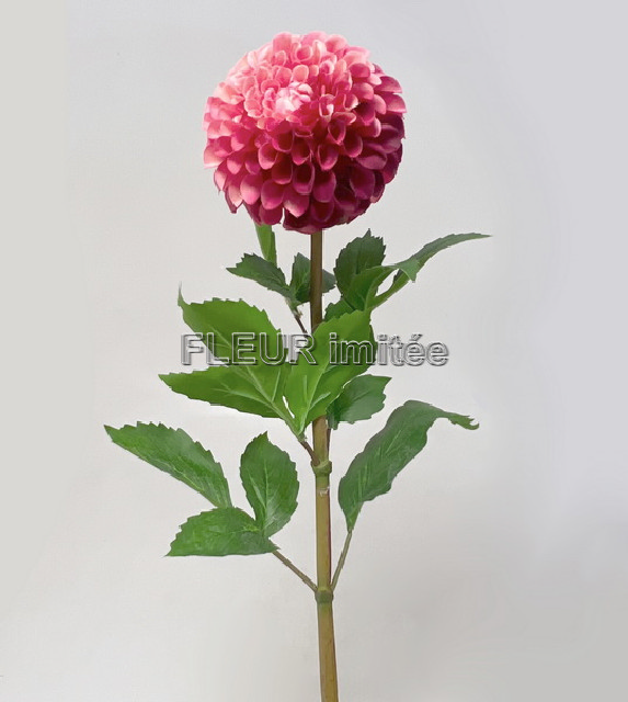 Jiřina x1 91cm 12/72