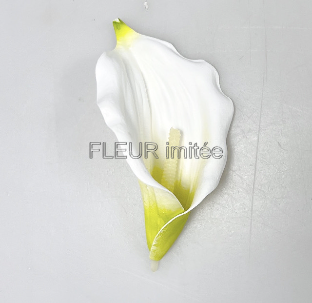 Květ kala 14x8cm 24/480