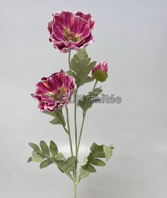 Mák x3 67cm  latex 24/144