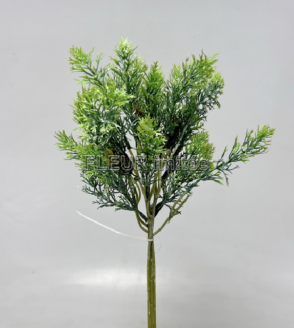 Chvojí x5 35cm  24/192