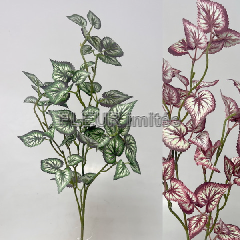 Begonie x3 65cm 36/180