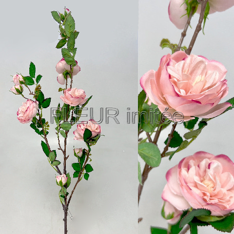 Růže větev andělská 90cm