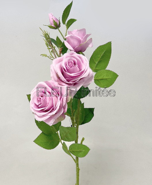 Růže x4 79cm SUN880 18/180