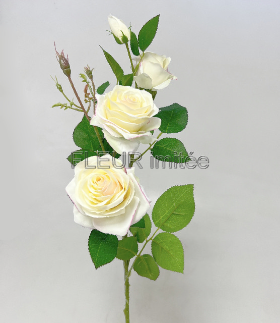 Růže x4 79cm SUN880 18/180