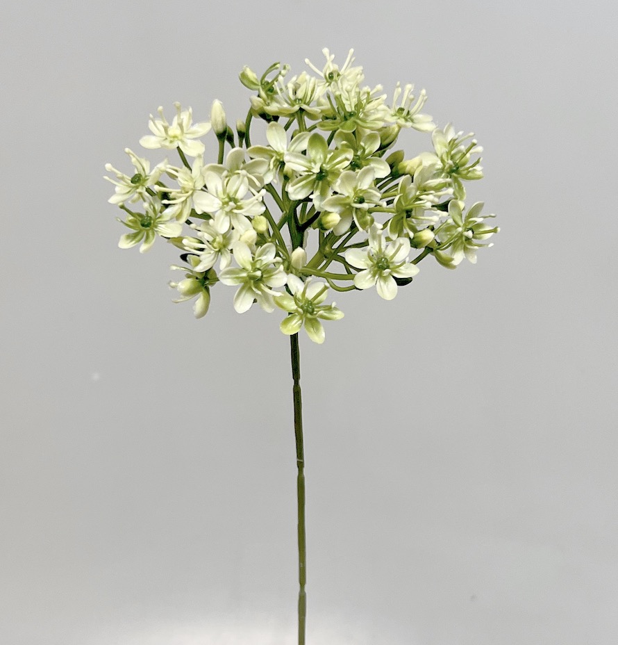 Česnek 42/14cm 6/96