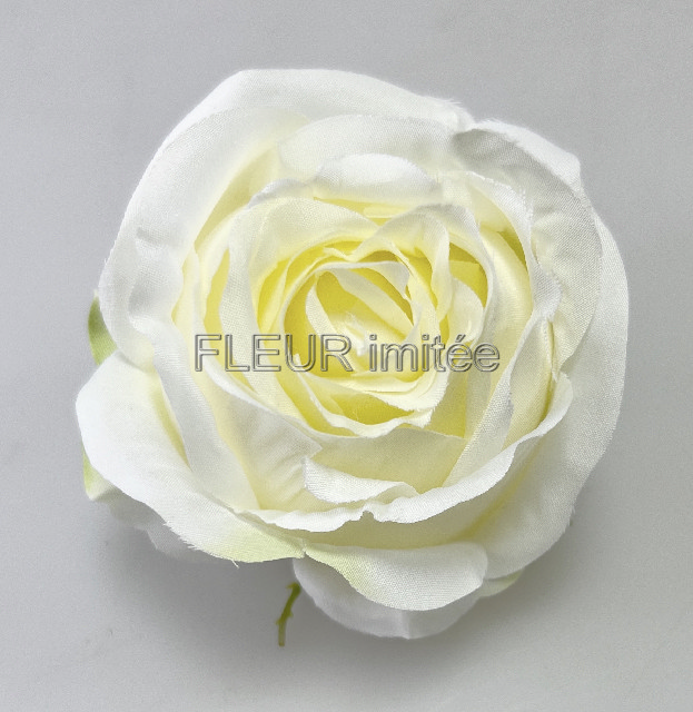 Květ růže  Tiamo 8cm 12/240