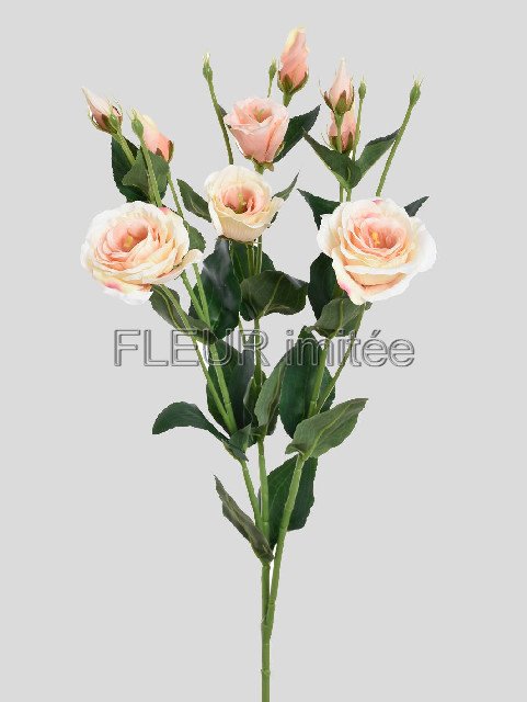 Eustoma x 7 78cm