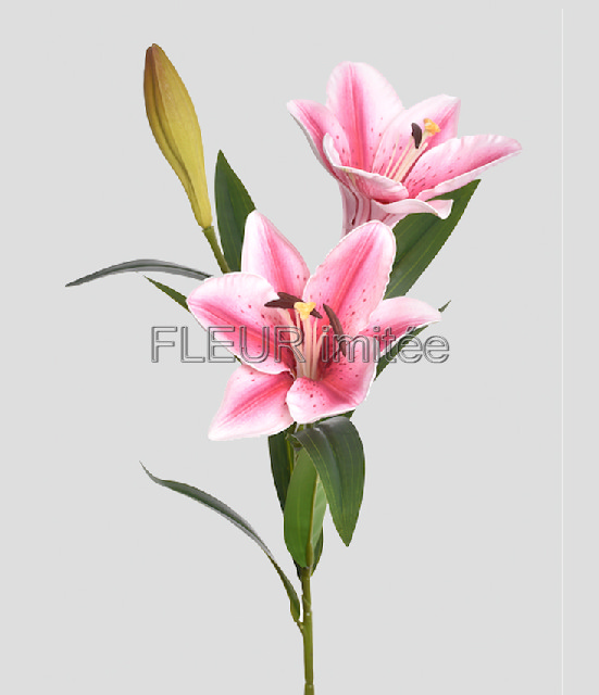 Lilie x3 78cm