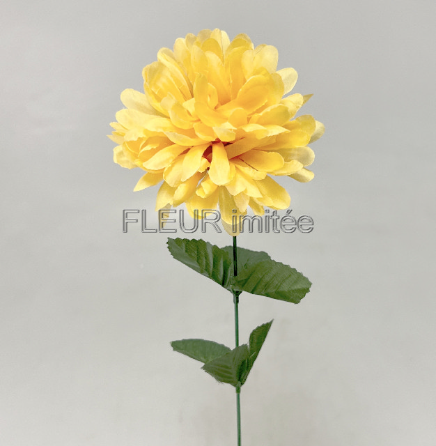 Chryzantéma  60/10cm  W00212/144