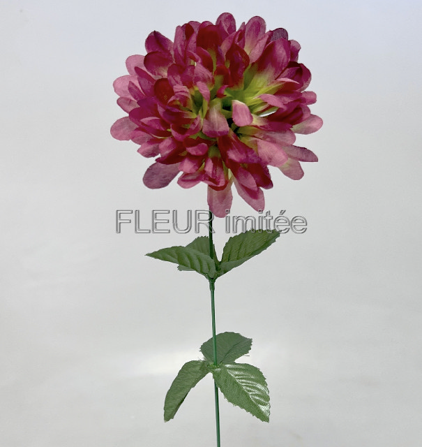 Chryzantéma  60/10cm  W00212/144