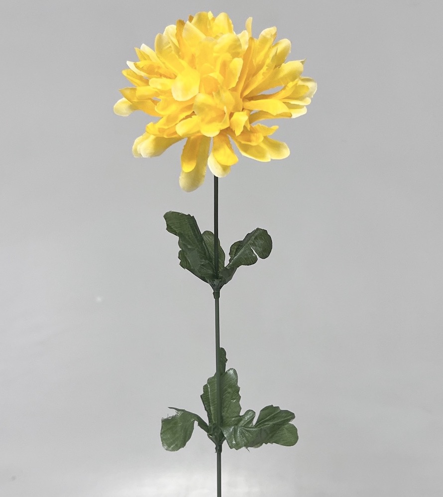 Chryzantéma  60/8cm 24/576