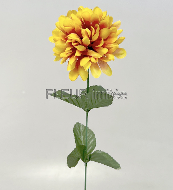 Chryzantéma  60/7cm W006 24/576