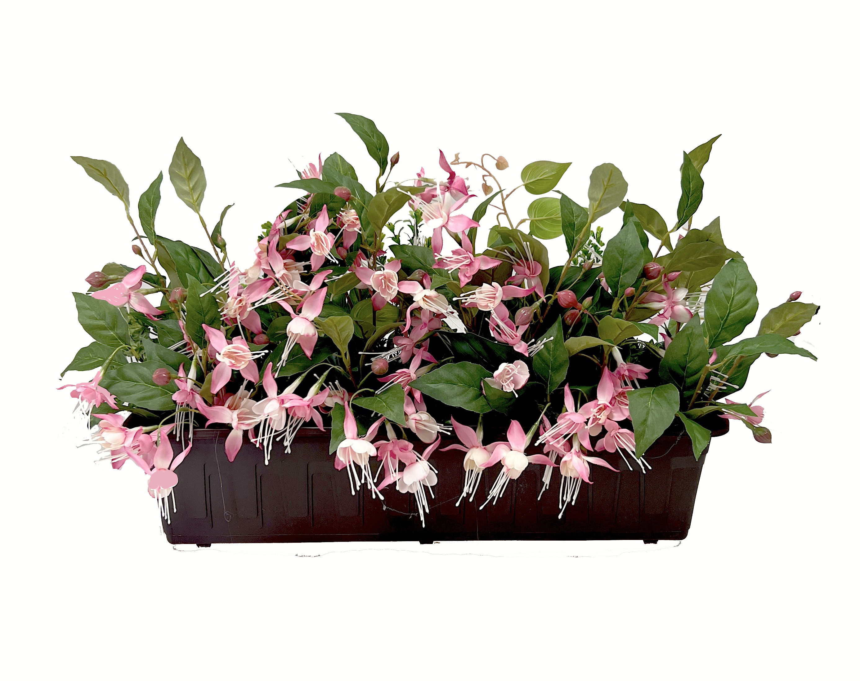 Truhlík fuchsie  mix 60x35cm