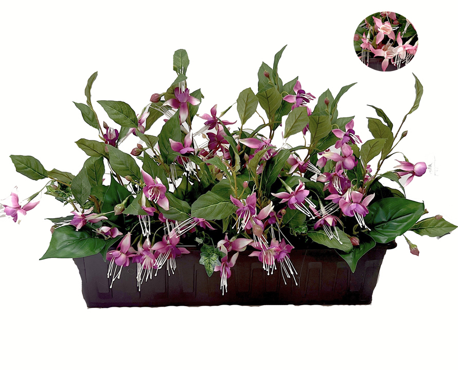 Truhlík fuchsie  mix 60x35cm