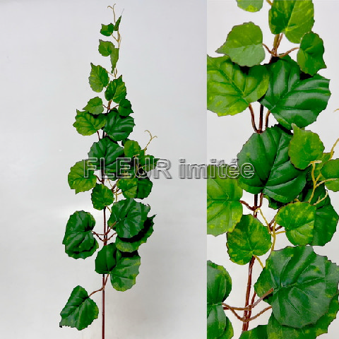 Víno větev 50cm 72/720