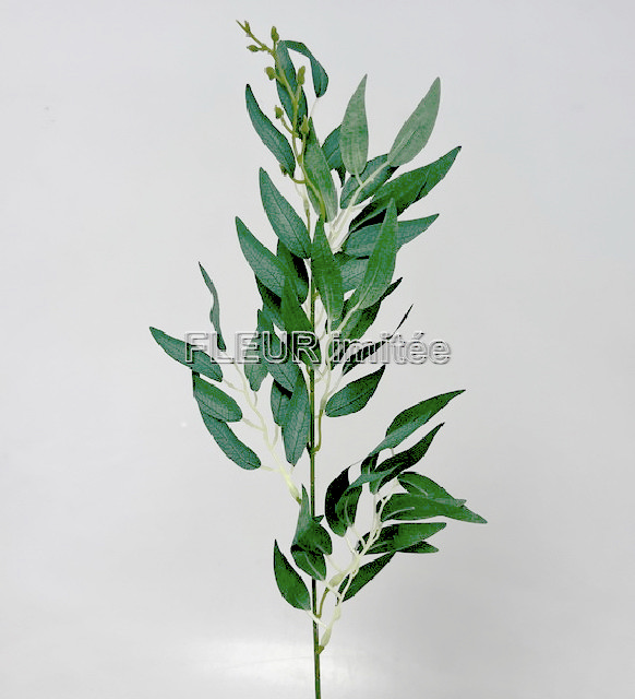 Ruscus 60cm 12/480