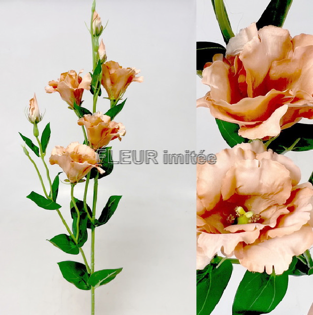 Eustoma x7 85cm S345  24/240