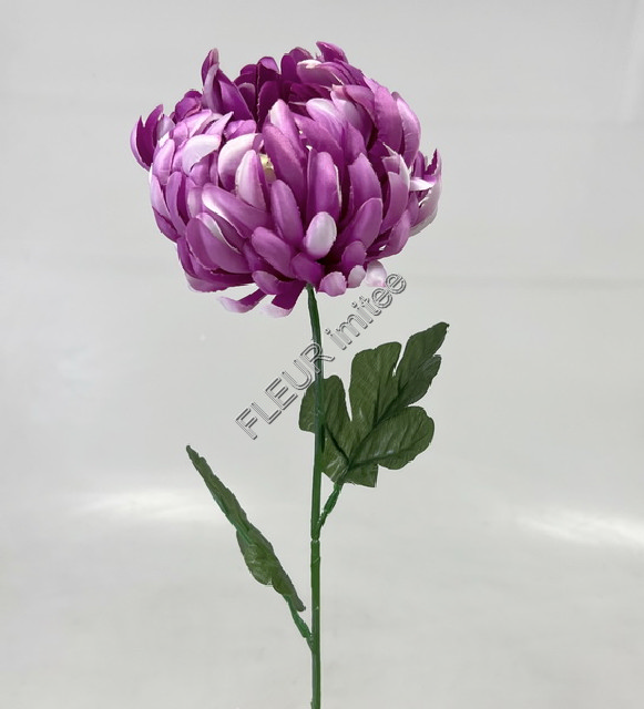 Chryzantéma x1  12/68cm  12/144
