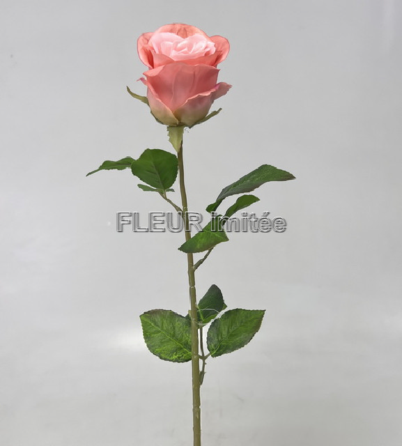 Růže x1 72cm A004  48/240