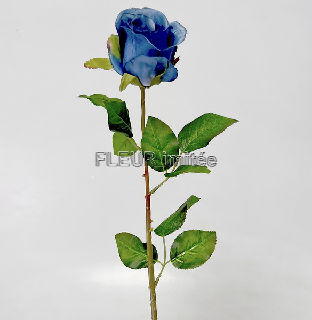 Růže x1 72cm A004  48/240