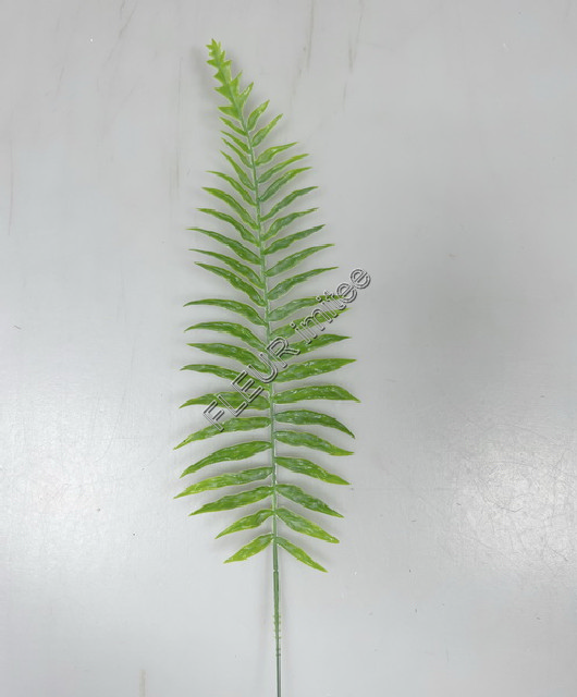 List kapradí latex 25cm 12/240