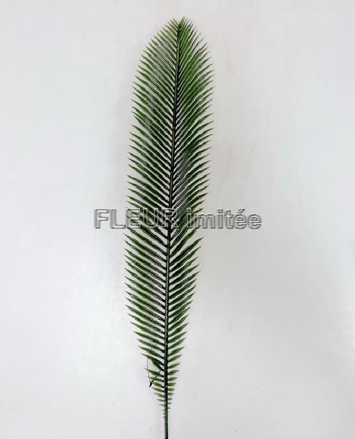 List Cycas plast.70cm 12/72