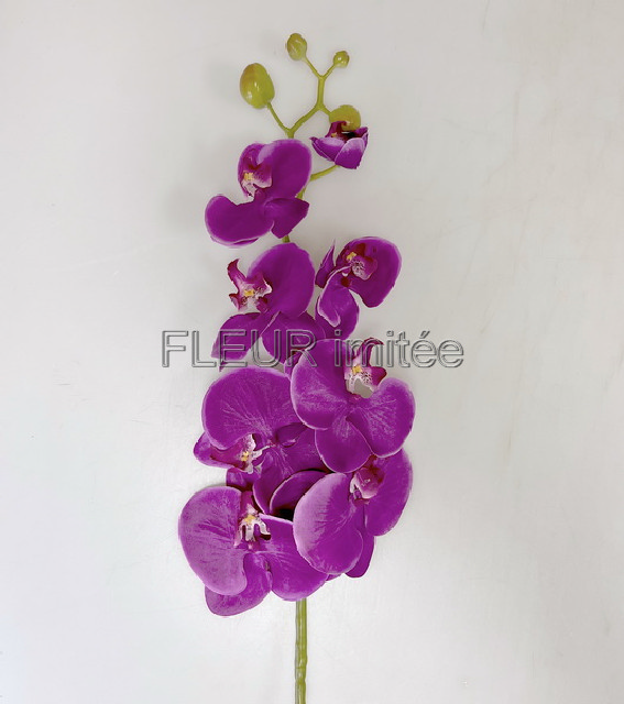Orchidea  phal.96cm 24/120