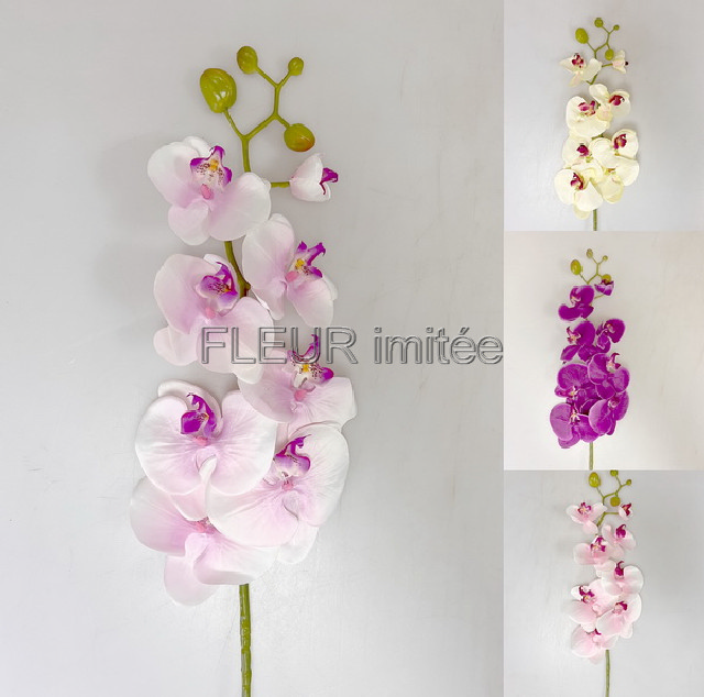 Orchidea  phal.96cm 24/120