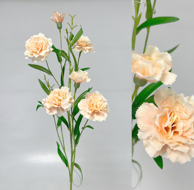 Karafiát mini x6 72cm  36/360