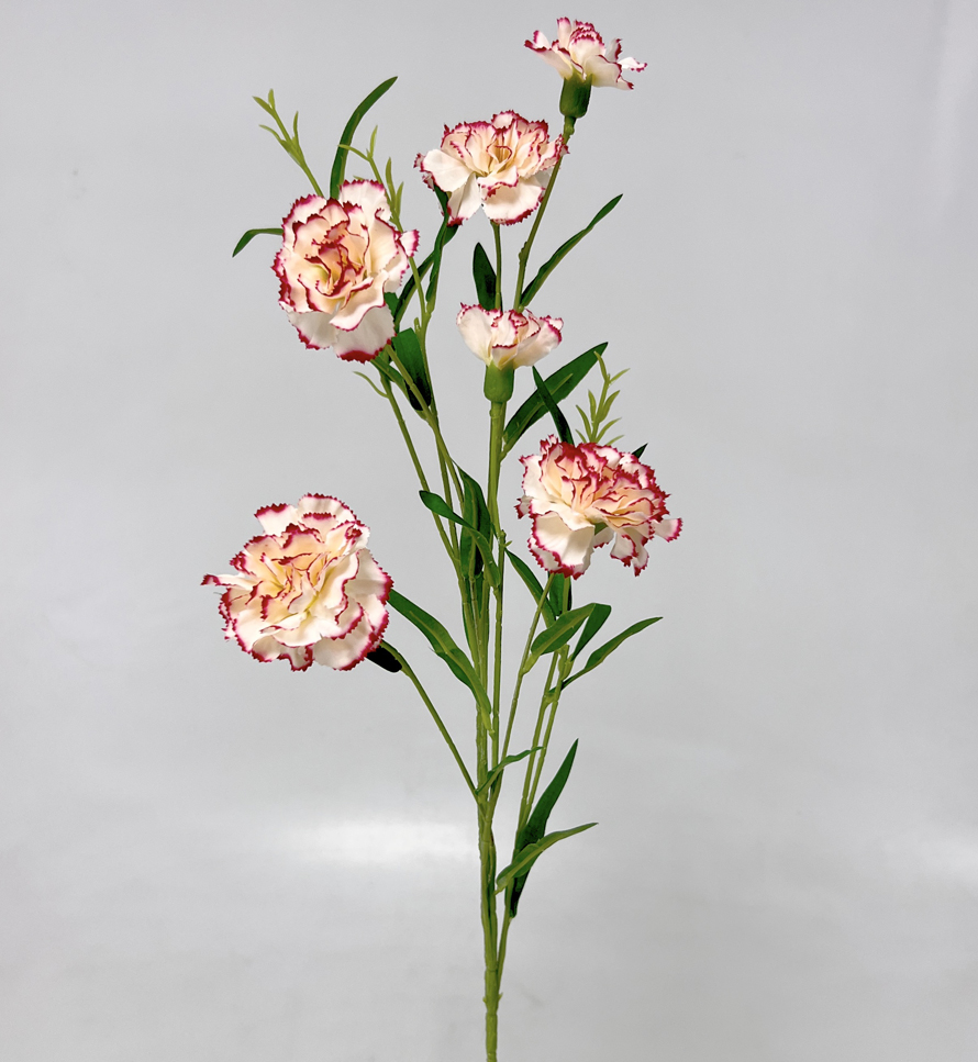 Karafiát mini x6 72cm  36/360