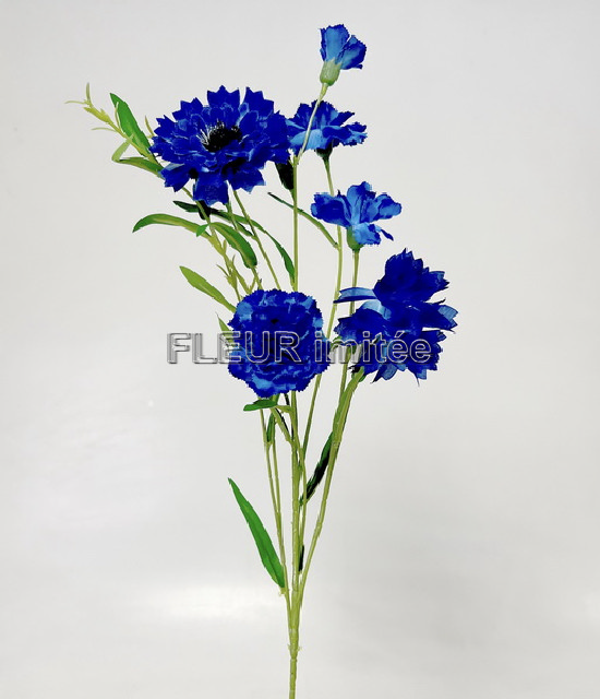 Chrpa x2  72cm  36/360