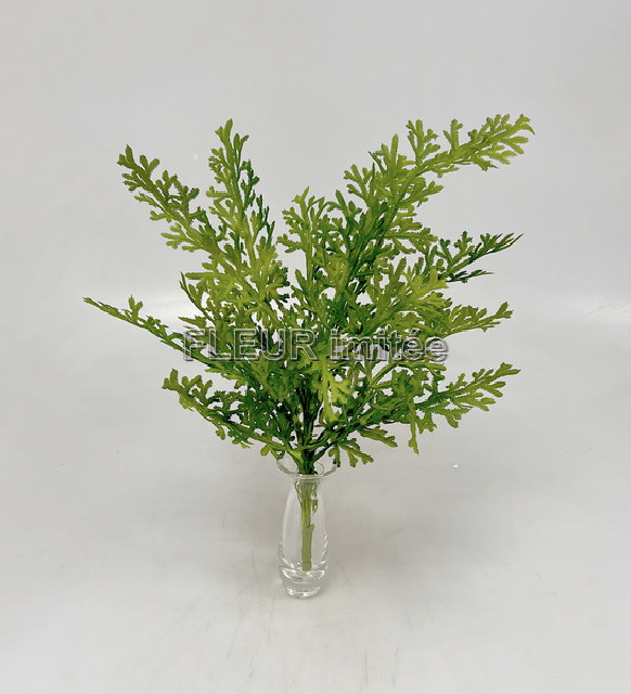 Tuje keřík 54cm   24/144