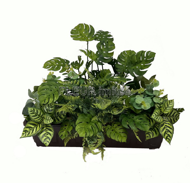 Truhlík kapradí 60x42cm