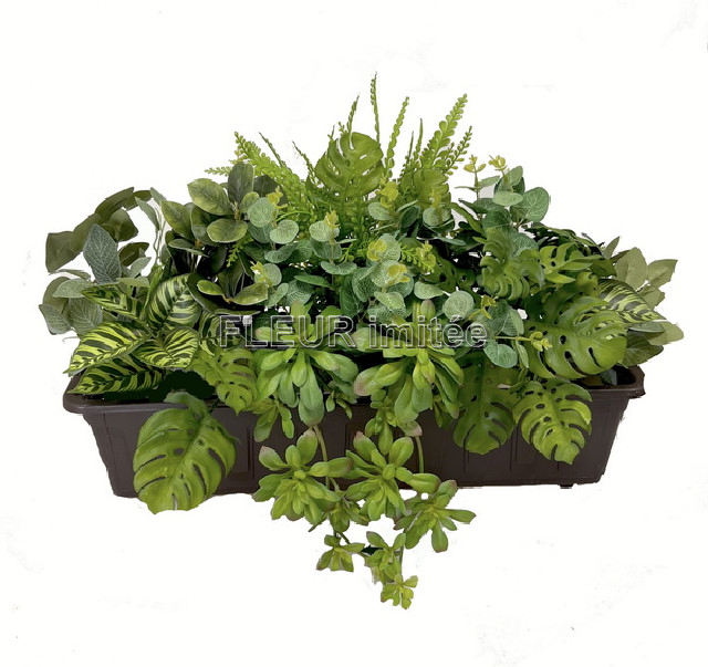 Truhlík kapradí 60x40cm