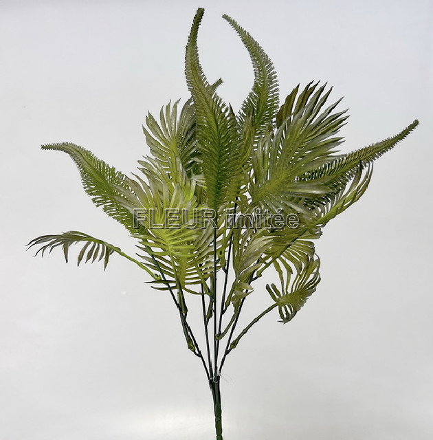 Palma keřík A235 43cm 48/192