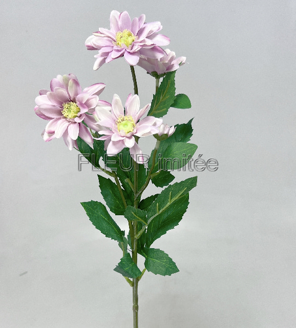 Chryzantéma x5 65cm  S669 24/240