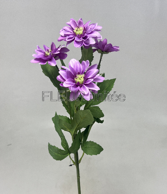 Chryzantéma x5 65cm  S669 24/240