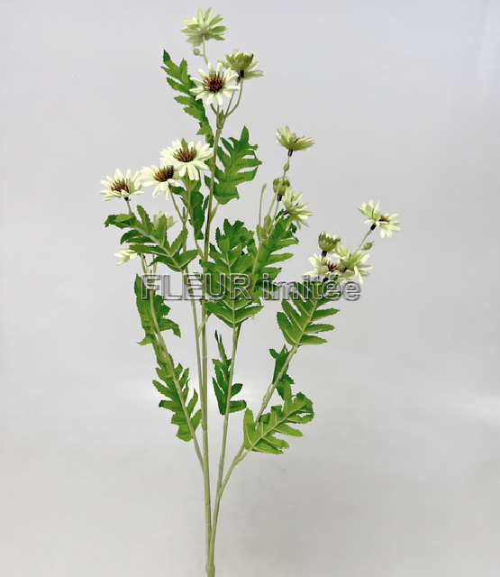 Čekanka S303 88cm 36/360