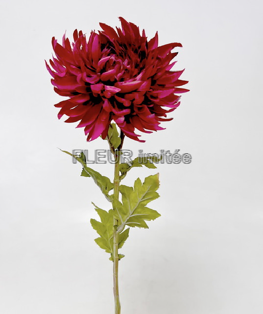 Jiřina x1 70cm Real Touch 12/96