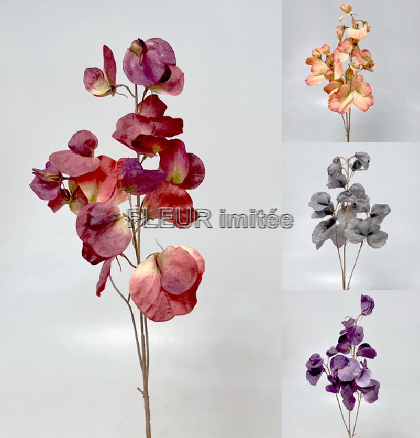 Eukalypt  x3  74cm 24/192