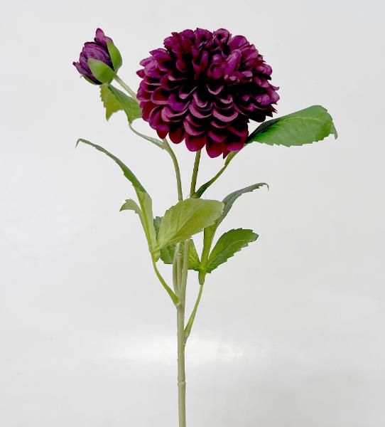 Jiřina  x2 63cm  24/240