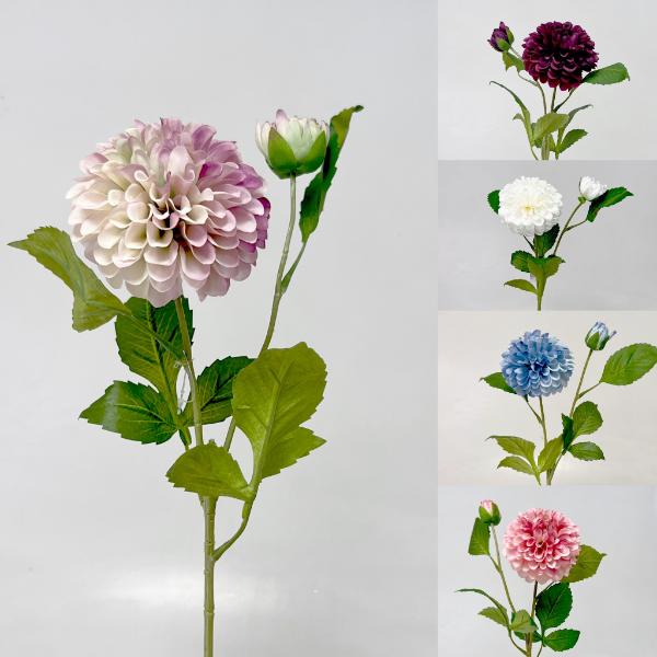 Jiřina  x2 63cm  24/240