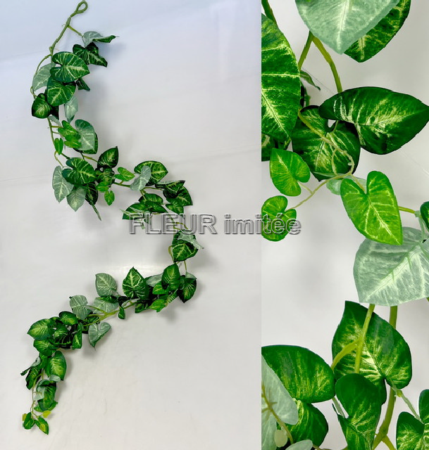 Girlanda syngonium 170cm 12/60