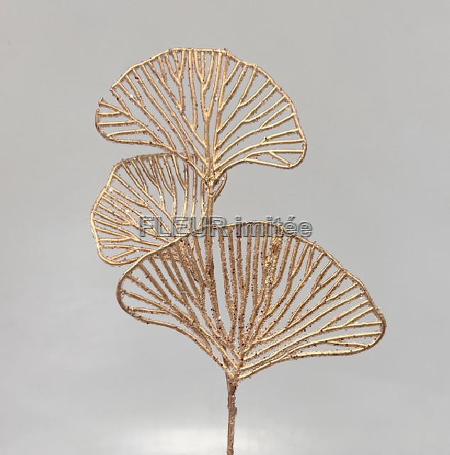 Ginkgo ván.30cm 36/360