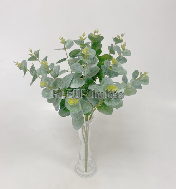 Eukalypt x4 48cm 36/144