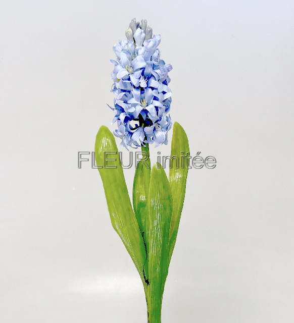 Hyacint latex 40cm 24/240