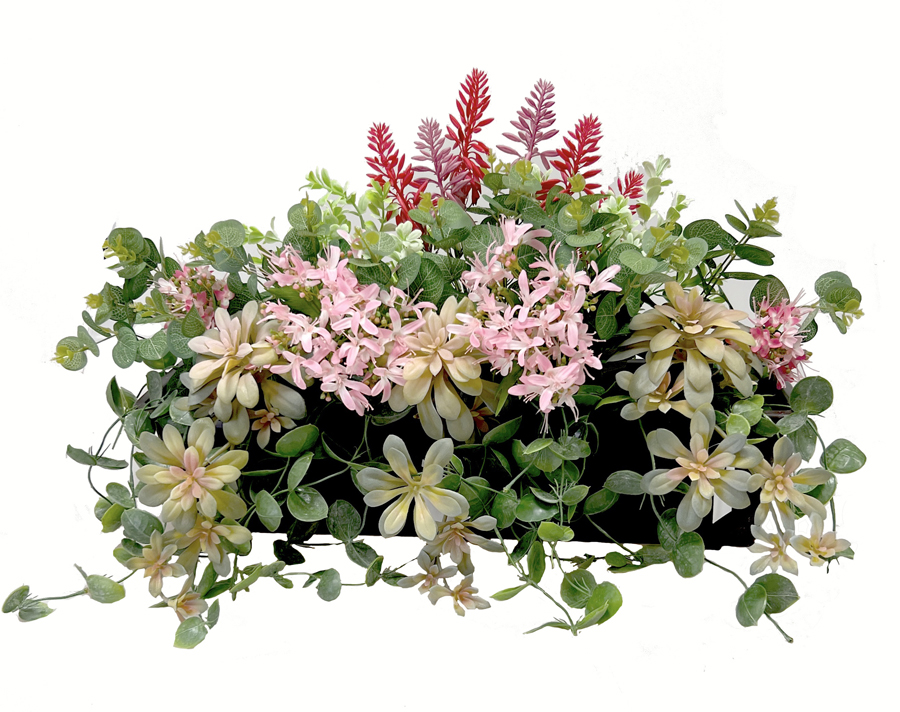 Truhlík sukulenty 60cm